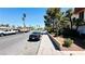 Street view of the property with tall trees lining the street at 3974 Palos Verdes St, Las Vegas, NV 89119