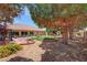 Expansive backyard featuring desert landscaping, mature trees, and brick accents at 4650 Stoneham St, Pahrump, NV 89061