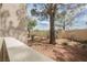 A backyard with a desert-style landscape and a large shade tree at 7400 W Flamingo Rd # 1082, Las Vegas, NV 89147