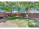 Relaxing backyard with mature trees, a hammock, green grass and a defined border in a fully fenced yard at 839 Benita Pl, Boulder City, NV 89005