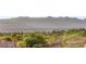 Scenic daytime view overlooking tree lined landscape with mountains in the background at 1383 Opal Valley St, Henderson, NV 89052