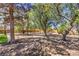 Lush backyard featuring mature trees, creating a serene and private outdoor space at 1731 Sherwin Ln, Las Vegas, NV 89156