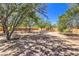 Large backyard with trees, gravel, and potential for customization at 1731 Sherwin Ln, Las Vegas, NV 89156