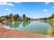 Picturesque pond in a lush community with willow trees and abundant wildlife at 4909 Ocean Shores Way, Las Vegas, NV 89130