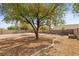 The large private backyard with mature trees offers plenty of space to enjoy the outdoors at 538 Ancient Mayan Dr, Henderson, NV 89015