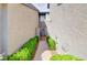 Inviting side entrance with a gated walkway surrounded by lush greenery at 602 Painted Cloud Pl, Las Vegas, NV 89144