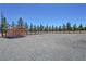 View of the lot, showing trees and an outbuilding, with a gravel surround at 1361 Moose St, Pahrump, NV 89048
