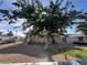 Backyard showcasing mature trees and a relaxed outdoor setting at 1429 S Sandhill Rd, Las Vegas, NV 89104
