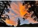 Striking sunset view with pine trees creating a natural frame, showing the vibrant colors of the sky above mountains at 3971 Arlberg Way, Mount Charleston, NV 89124