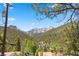 A scenic view of lush greenery and rocky mountains on a clear day at 3971 Arlberg Way, Mount Charleston, NV 89124