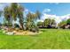 Community park offering green space with trees, landscaping, and open grassy areas at 412 Orchid Oasis Ave, North Las Vegas, NV 89031