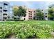 Well-maintained grounds with lush green grass, bushes, and colorful flowers at 62 E Serene Ave # 115, Las Vegas, NV 89123