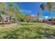 Well-maintained community park with manicured lawn and mature trees at 7963 Cape Brett St, Las Vegas, NV 89131