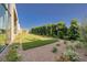 Expansive backyard with manicured lawn, modern landscaping, and privacy trees at 10781 Agate Cliffs Ave, Las Vegas, NV 89135