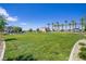 A large green space lined with lush palm trees and well-manicured lawns provides a relaxing and inviting atmosphere at 2773 Green Envy Ave # 245, North Las Vegas, NV 89086