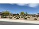 Beautiful community park featuring trees and gravel landscaping at 2924 Sunday Silence Rd, North Las Vegas, NV 89086