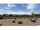 Gathering-friendly community park featuring playground, gazebo, and ample green space at 2924 Sunday Silence Rd, North Las Vegas, NV 89086