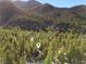 Aerial view of home surrounded by forest at 5230 Whispering Robin Ln, Mount Charleston, NV 89124