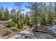 Tree lined driveway leading to a property surrounded by lush landscaping at 5230 Whispering Robin Ln, Mount Charleston, NV 89124