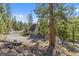 Gray A-frame home with native landscaping and long driveway at 5230 Whispering Robin Ln, Mount Charleston, NV 89124