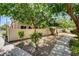 Backyard with tan fence and green trees, offering a secluded and private outdoor space at 67 Dow Jones St # 2, Henderson, NV 89074