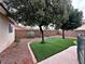 Landscaped backyard featuring well-maintained lawn and mature trees at 1006 Winding Hill St, Henderson, NV 89002