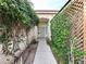 Inviting entrance featuring a quaint walkway adorned with mature landscaping at 1006 Winding Hill St, Henderson, NV 89002