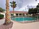 Outdoor pool surrounded by palm trees and a spacious backyard, great for entertaining at 1006 Winding Hill St, Henderson, NV 89002