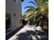 Inviting backyard with paver patio and mature palm trees, perfect for outdoor living at 1220 Padre Serra Ln, Las Vegas, NV 89134