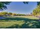 Expansive community park with a large grassy area, mature trees, walking paths, and inviting green space at 2369 Via Barranca St, Henderson, NV 89044