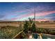 Stunning pool area with lush landscaping and clear blue water creates a backyard oasis at 2750 Evolutionary Ln, Las Vegas, NV 89138