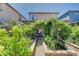 Charming backyard garden with lush greenery and custom-built features, enhancing the outdoor living experience at 4160 Elegant Chateau St, Las Vegas, NV 89135