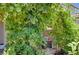 Lush backyard garden with climbing vines and outdoor seating, creating a tranquil retreat at 4160 Elegant Chateau St, Las Vegas, NV 89135