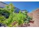 Private backyard featuring mature trees and garden, offering a serene outdoor space at 4160 Elegant Chateau St, Las Vegas, NV 89135