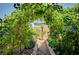 Lush garden pathway framed by mature grape vines, creating a peaceful and inviting outdoor space at 4160 Elegant Chateau St, Las Vegas, NV 89135