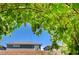 Inviting backyard with grape vines growing over a brick wall, offering shade and a touch of rustic charm at 4160 Elegant Chateau St, Las Vegas, NV 89135