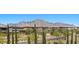 An attractive street view features lush landscaping, modern homes, and a picturesque mountain range backdrop at 465 Cabral Peak St, Las Vegas, NV 89138