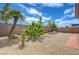 Fully fenced, rock-landscaped backyard featuring a large palm tree at 2445 Sturrock Dr, Henderson, NV 89044