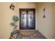 Elegant double front doors with decorative glass, complemented by a potted plant and brick walkway at 2749 Liberation Dr, Henderson, NV 89044