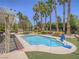 Beautiful backyard with a sparkling pool, mature palm trees, and a basketball hoop at 8106 Eagle Clan Ct, Las Vegas, NV 89131