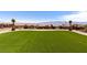 Stunning backyard featuring lush artificial turf, desert landscaping, mature palm trees, and mountain views at 1398 Pin Cushion Rdg, Mesquite, NV 89034