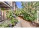 Charming backyard with mature trees, a pergola, and a cozy patio perfect for outdoor living at 2851 Glistening Grove Ave, Henderson, NV 89052