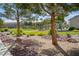 Serene community park with seating areas surrounded by trees and landscaped grounds at 4559 Dover Straight St, Las Vegas, NV 89115