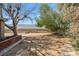 A back yard with trees at 5101 Churchill Ave, Las Vegas, NV 89107