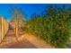 Tranquil walkway featuring gravel pathway, greenery, and accent lighting, creating a serene outdoor experience at 7111 Bath Dr, Las Vegas, NV 89131