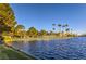 Beautiful lakeside view with palm trees and lush greenery, perfect for relaxing strolls at 8428 Apple Hill Ct, Las Vegas, NV 89128