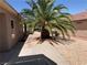 This home offers a spacious backyard featuring desert landscaping and a mature palm tree at 1396 Couperin Dr, Henderson, NV 89052