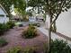 Well-maintained front yard featuring manicured plants, rock landscaping, and a walkway leading to neighboring homes in the community at 2419 Pebble Springs Ct, Henderson, NV 89074