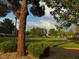 Expansive green space in community park, featuring mature trees, manicured lawns, and walking paths under a scenic sky at 2419 Pebble Springs Ct, Henderson, NV 89074