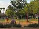 Community playground features a variety of kid-friendly play structures in a well-maintained green space, perfect for Gathering fun at 2419 Pebble Springs Ct, Henderson, NV 89074